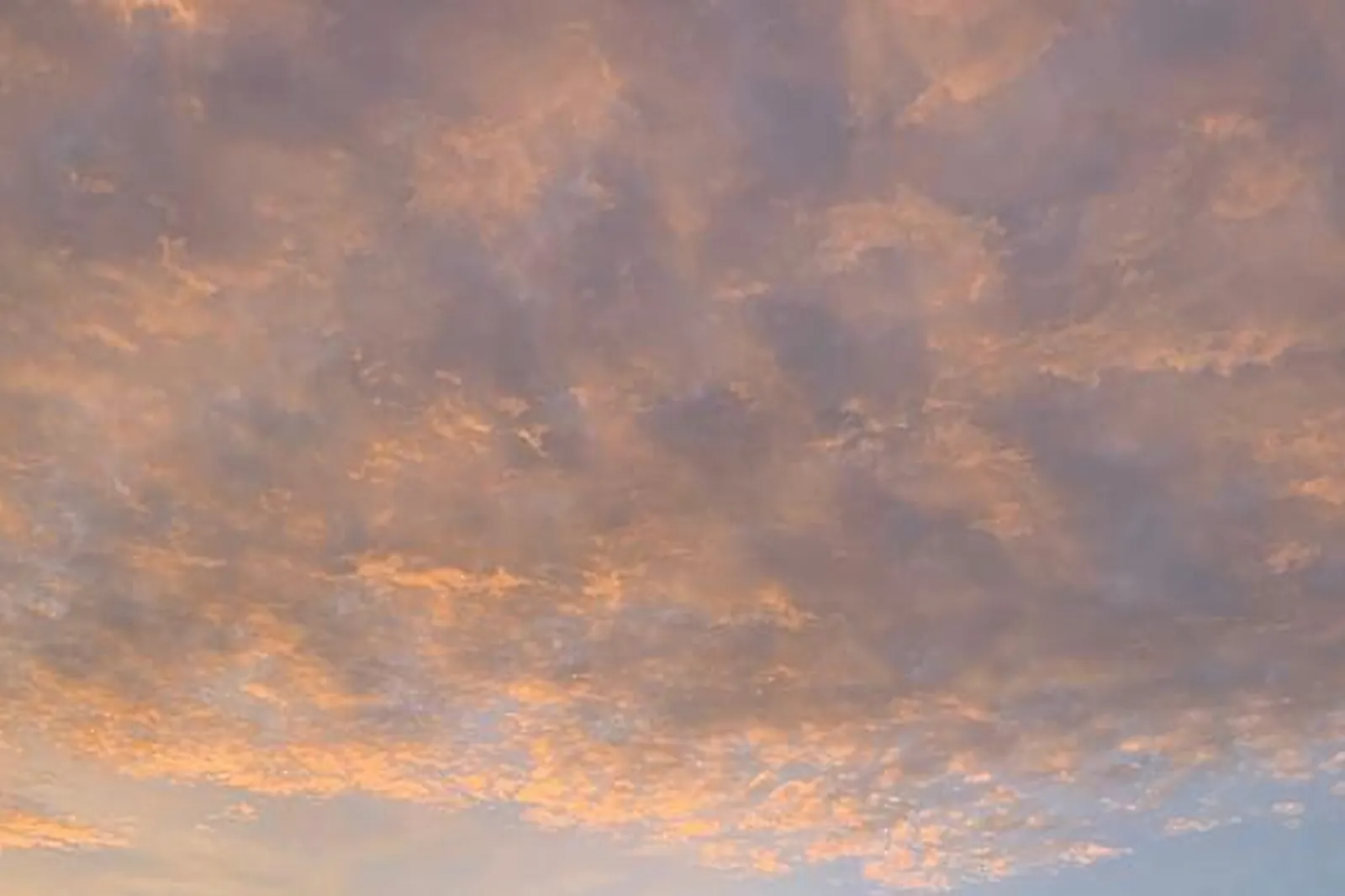 Lieux événementiels, MAISON BLANCHE ETXE XURIA