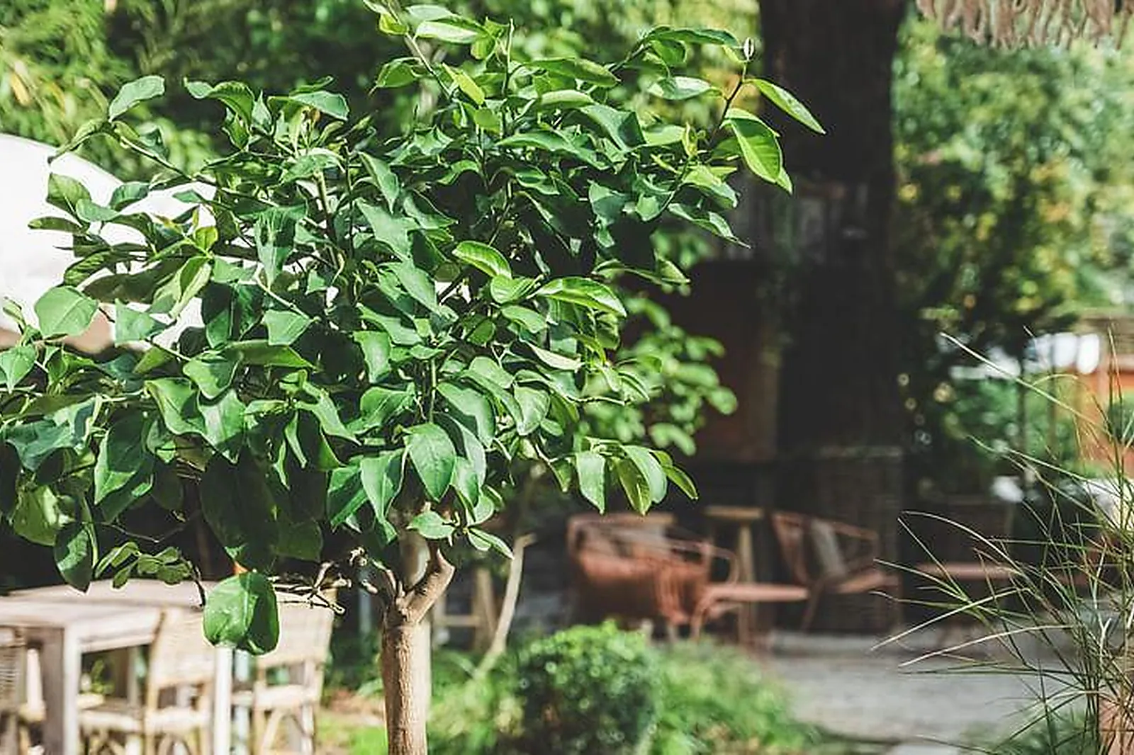 Lieux événementiels, MAISON SOCLO