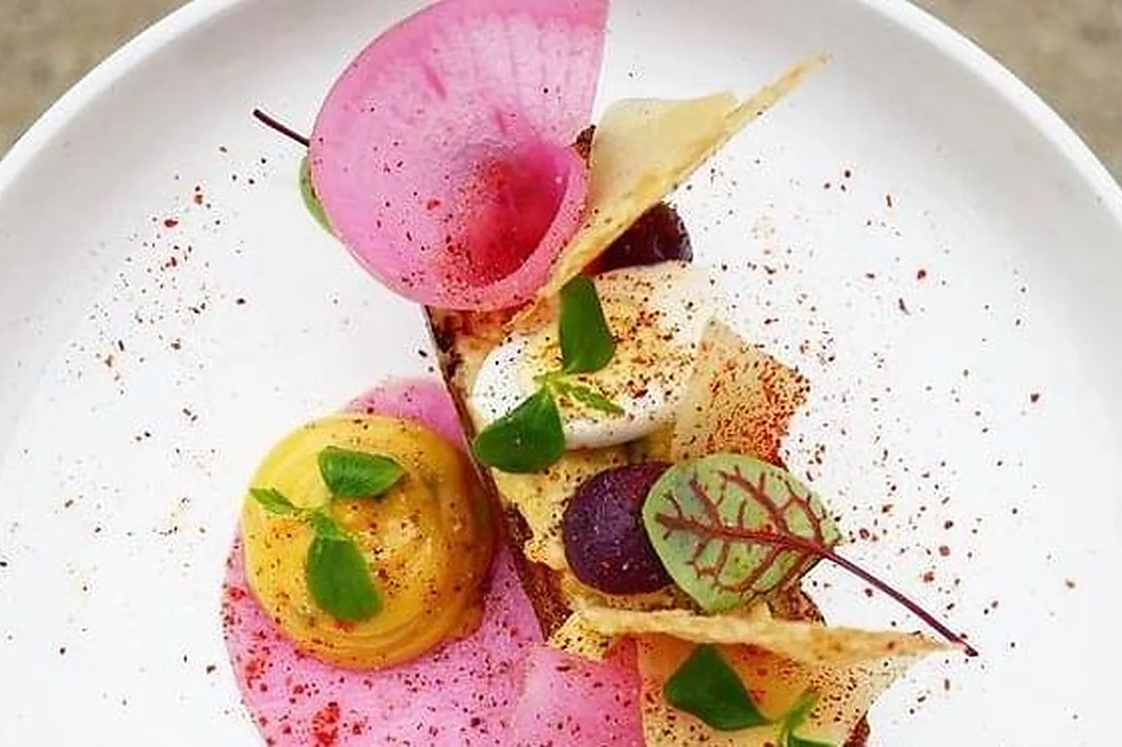 Lieux événementiels, MAISON D'ANTHOUARD ****