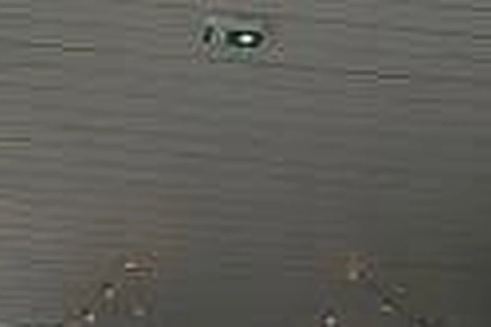 Lieux événementiels, MANATEE