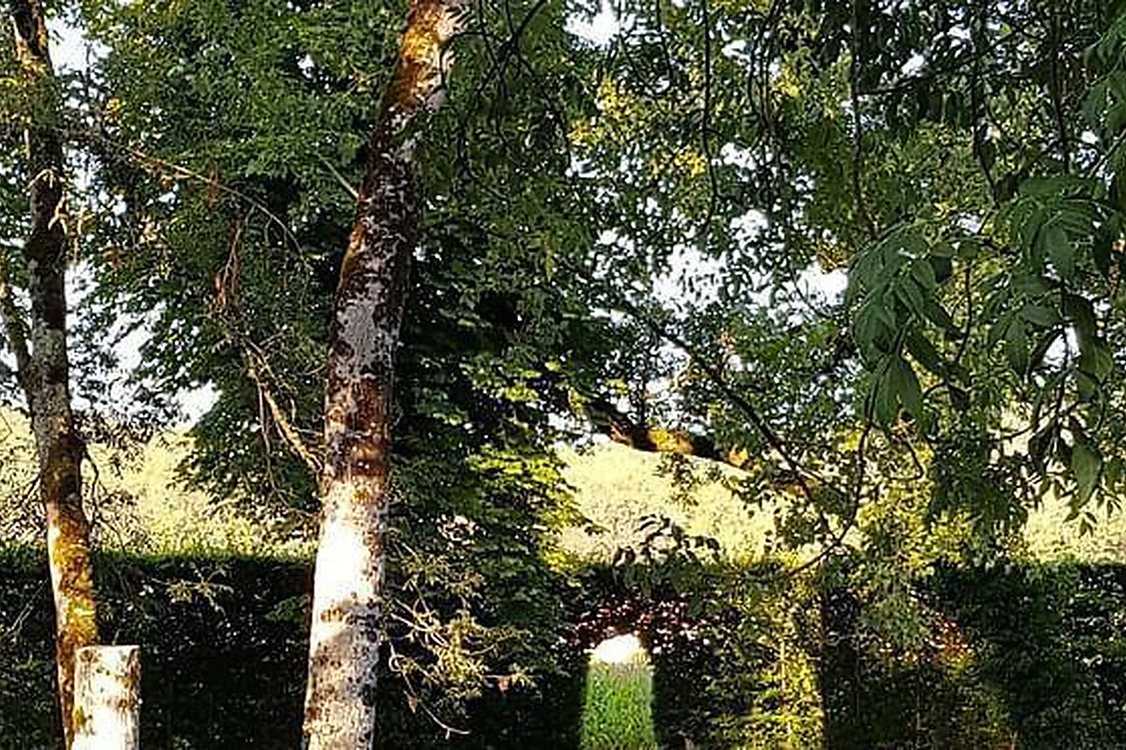 Lieux événementiels, MANOIR D'HAUTEGENTE