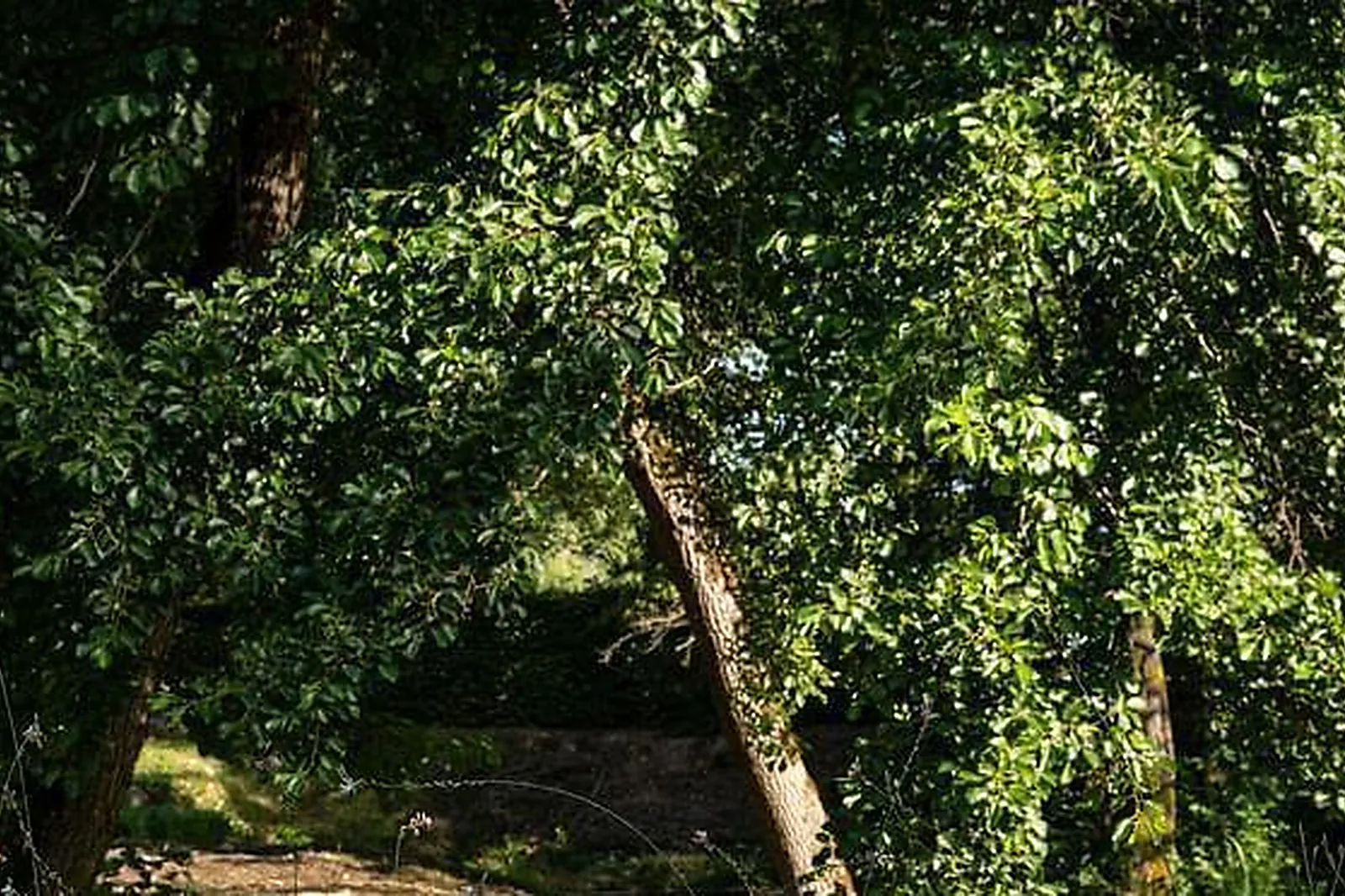 Lieux événementiels, MANOIR D'HAUTEGENTE