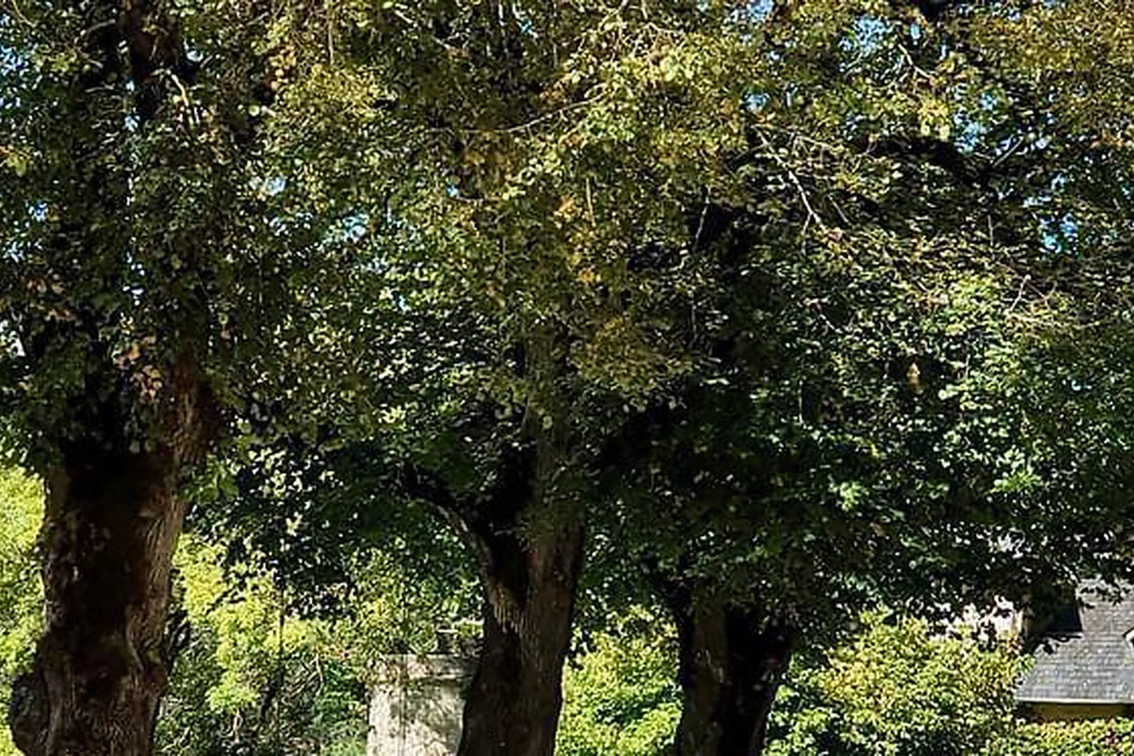 Lieux événementiels, MANOIR D'HAUTEGENTE