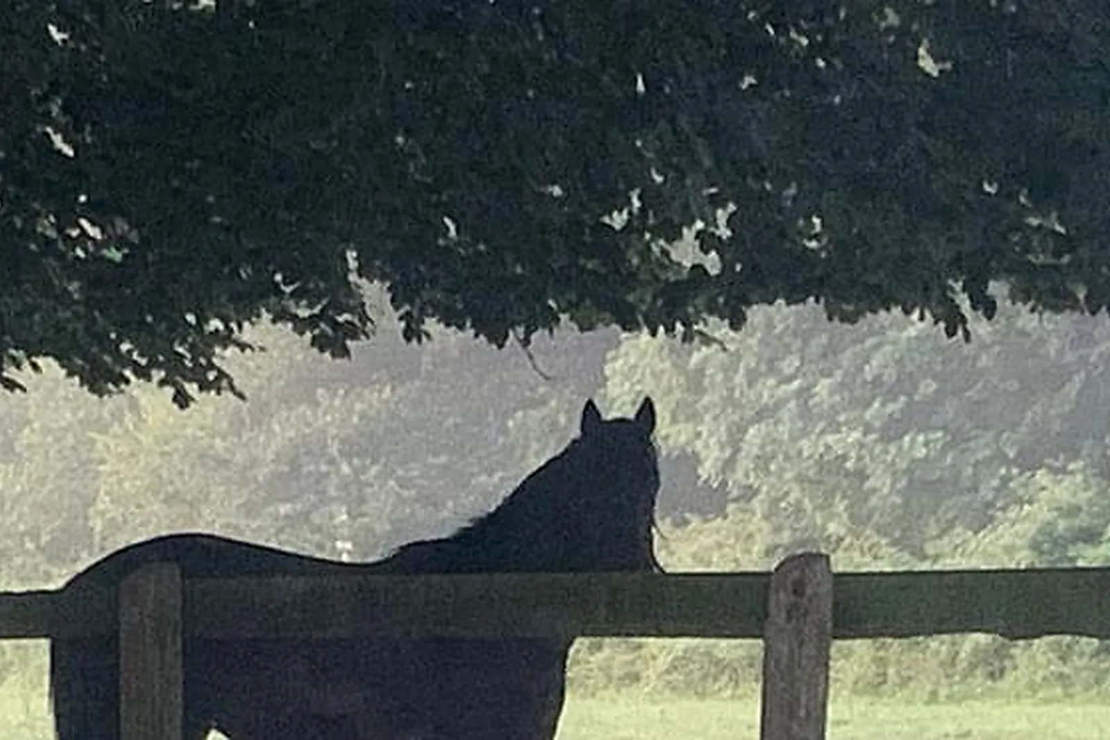 Lieux événementiels, MANOIR DE CLERONDE