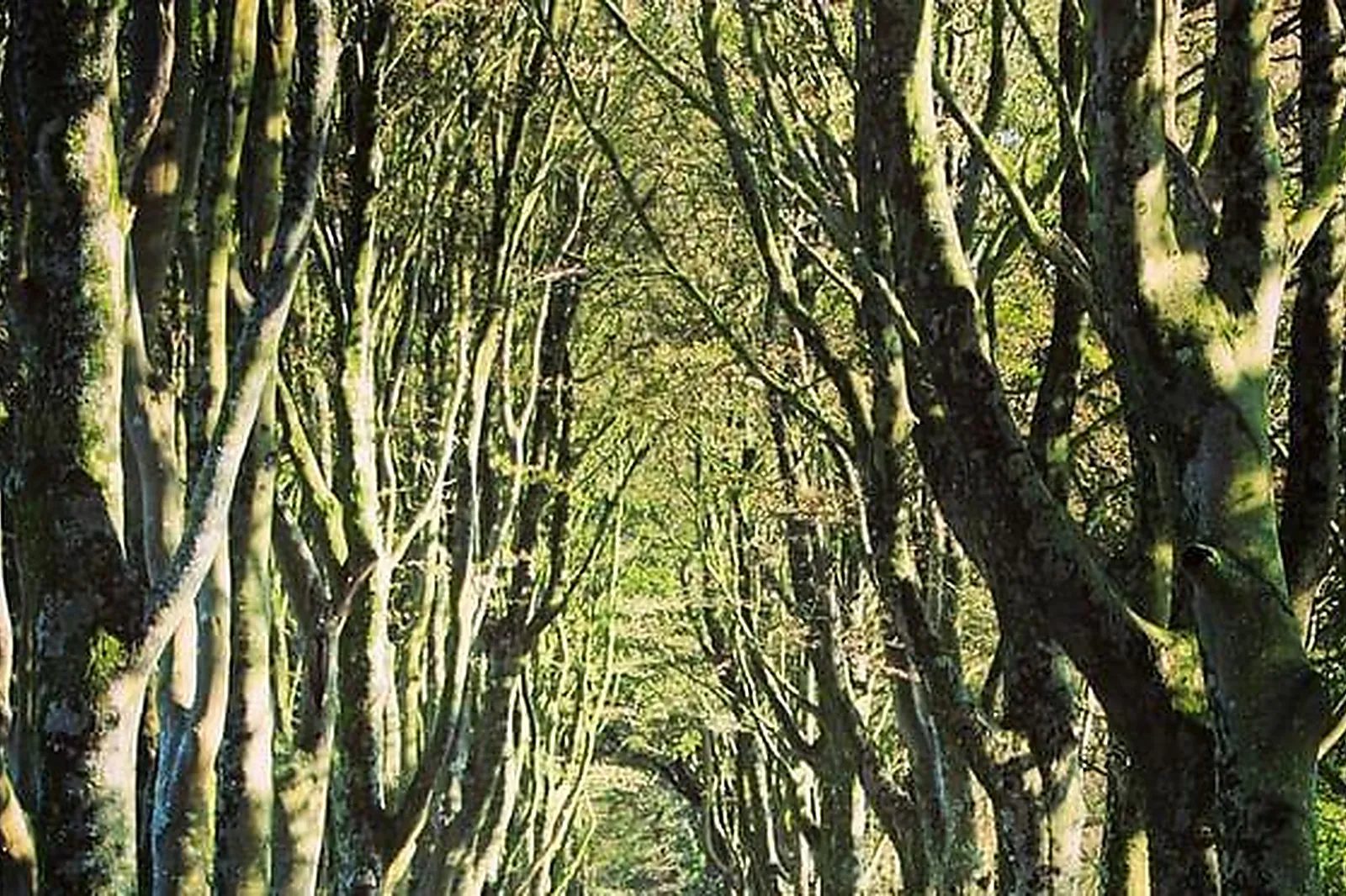 Lieux événementiels, LA BISCUITERIE LOLMEDE