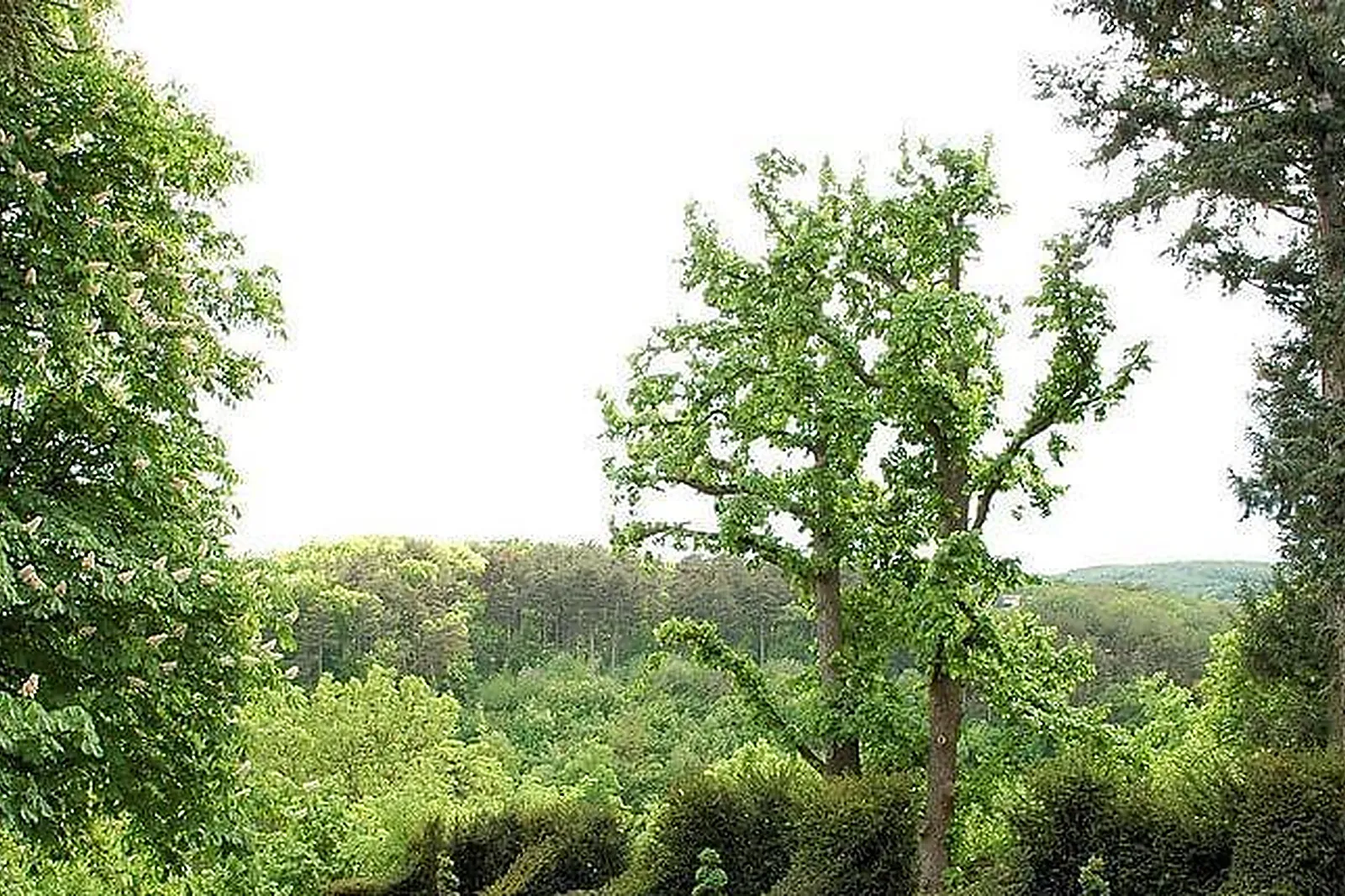 Lieux événementiels, CENTRE AR RUSKENN