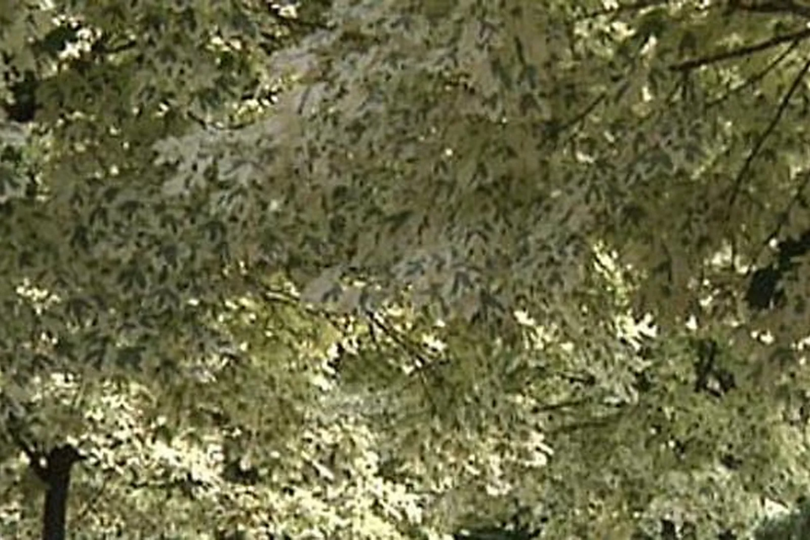 Lieux événementiels, MANOIR DE LA PERRIÈRE