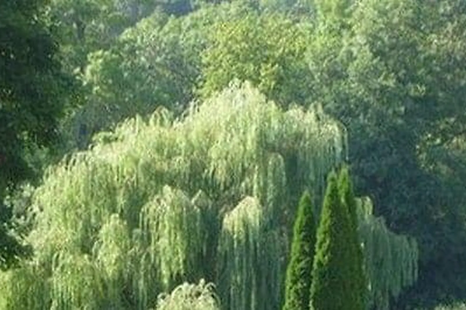 Lieux événementiels, LE MÉLO D'AMÉLIE