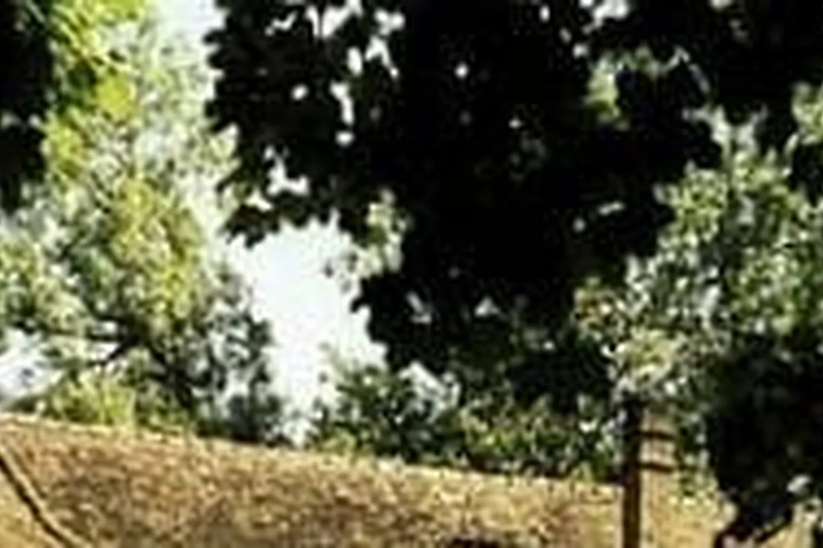 Lieux événementiels, LE MÉLO D'AMÉLIE