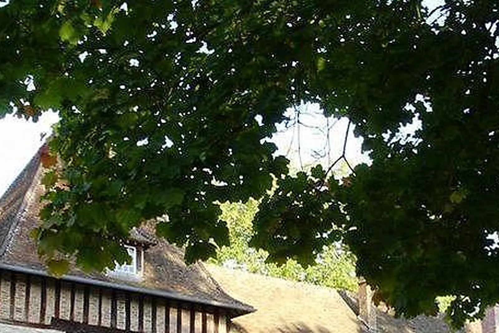 Lieux événementiels, LE MÉLO D'AMÉLIE