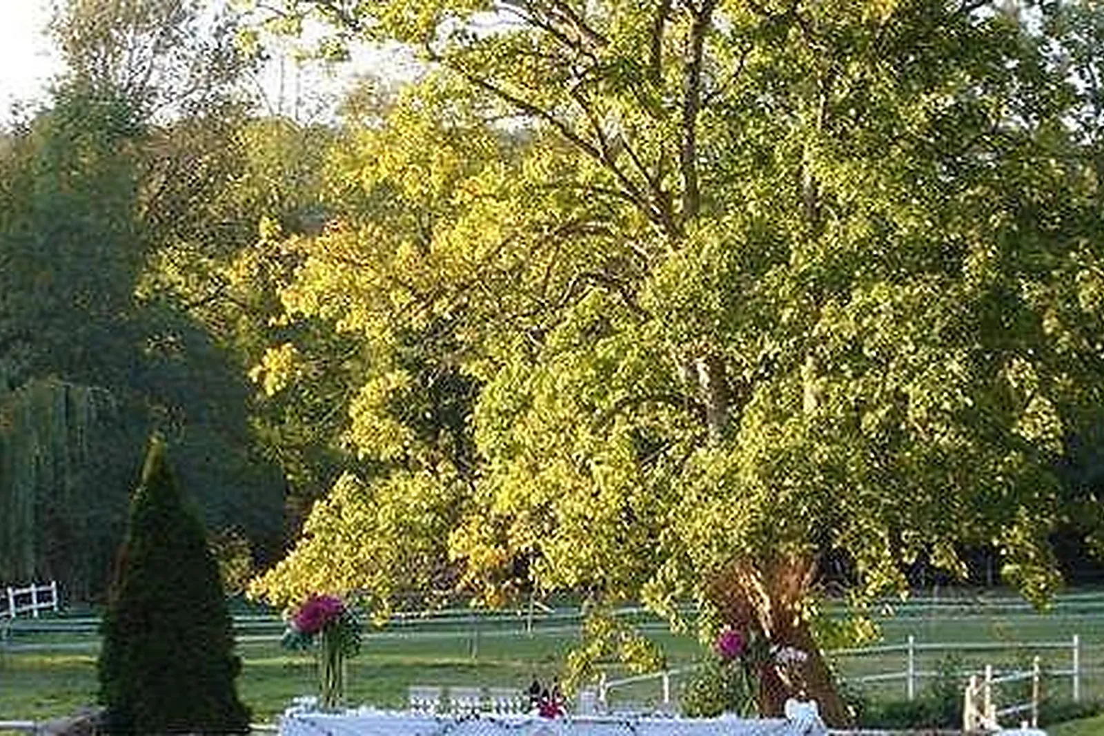 Lieux événementiels, LE MÉLO D'AMÉLIE