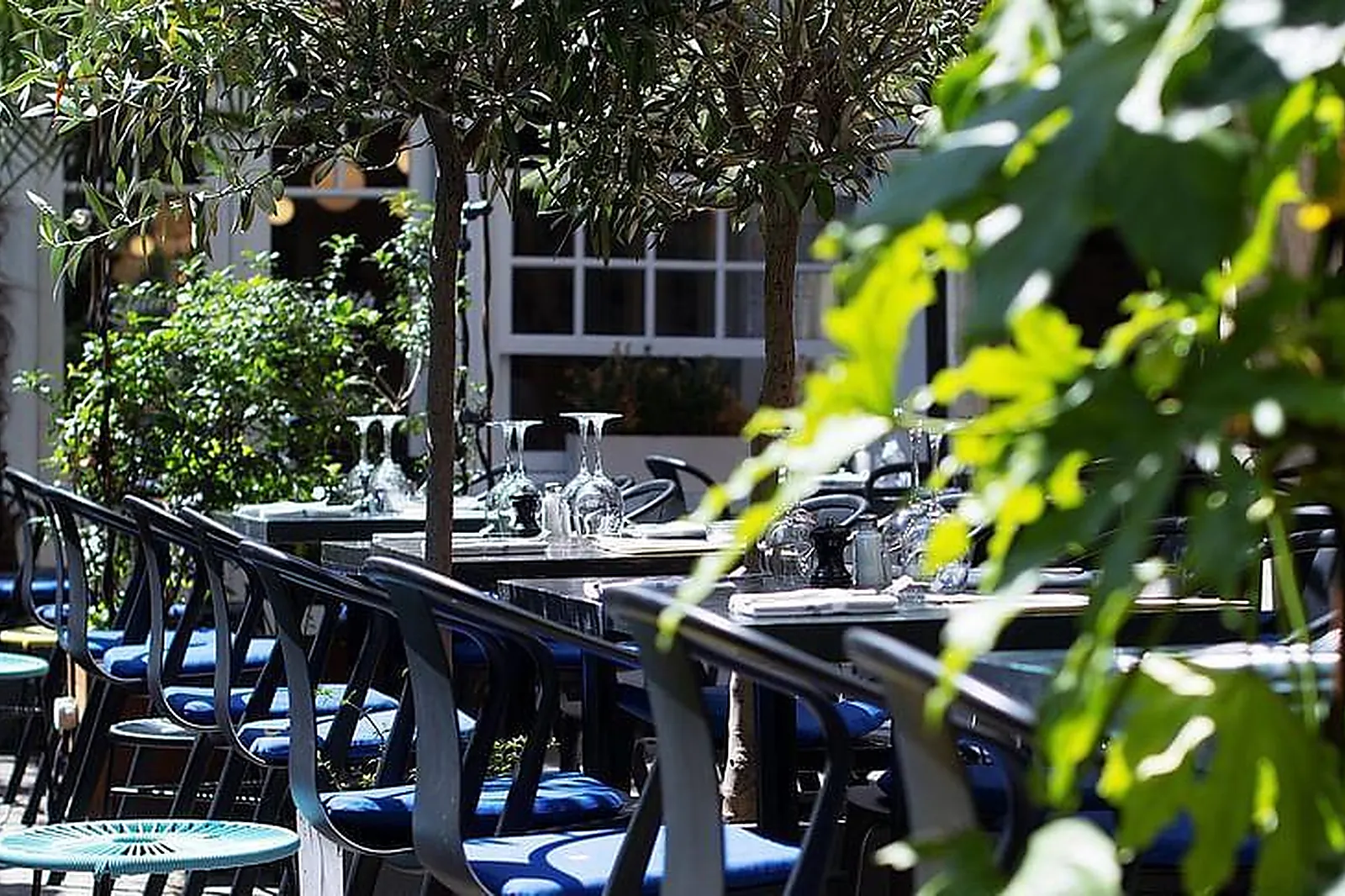 Lieux événementiels, MARCELLO