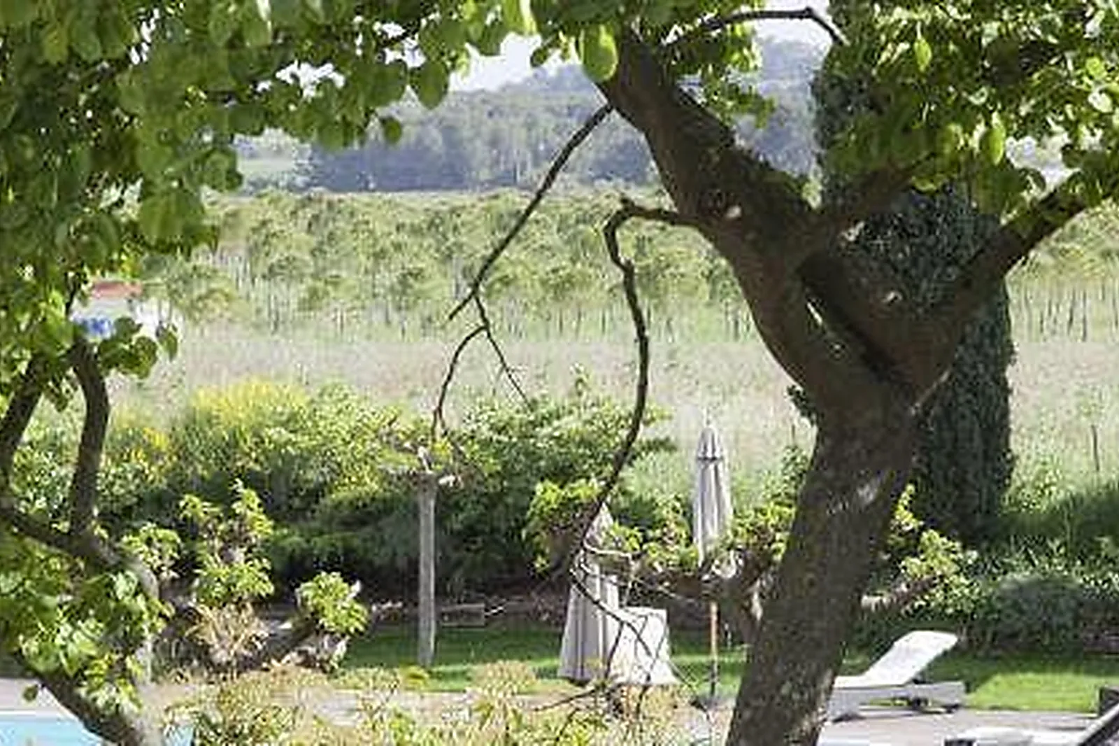 Lieux événementiels, MAS DE THAU