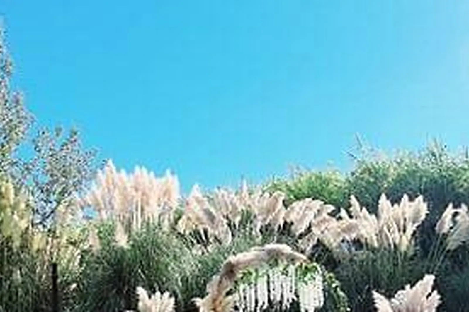 Lieux événementiels, PATHÉ VALENCIENNES