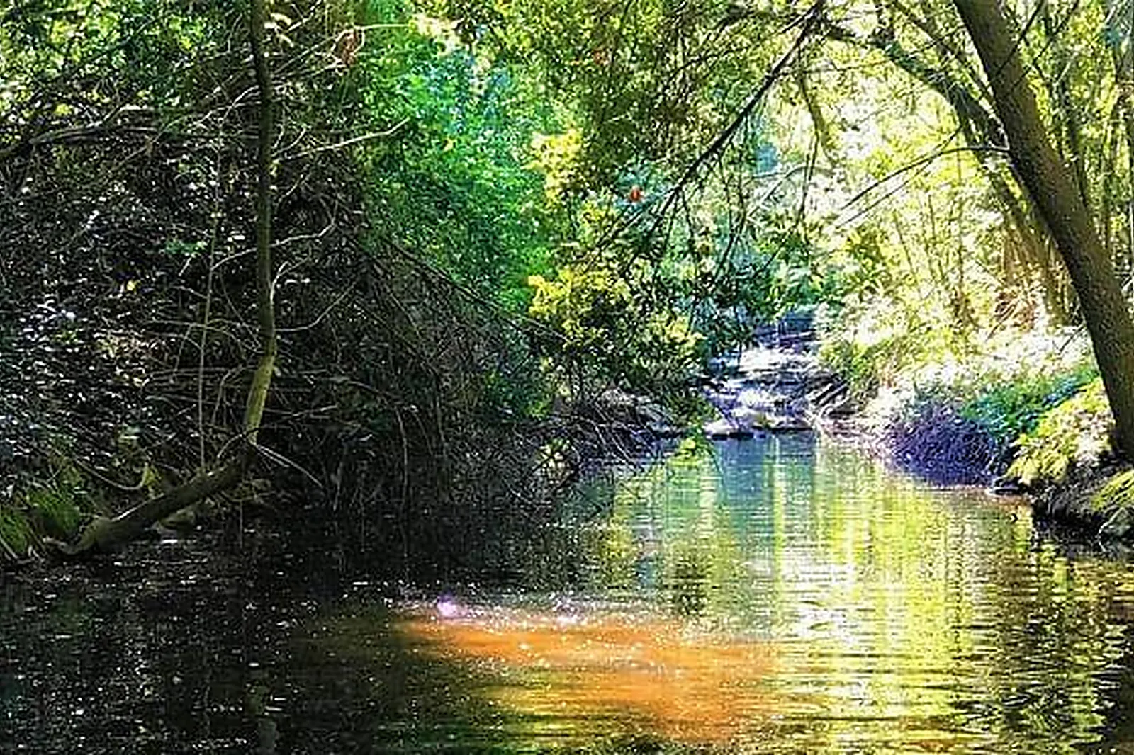 Lieux événementiels, MAS DE REY UZÈS