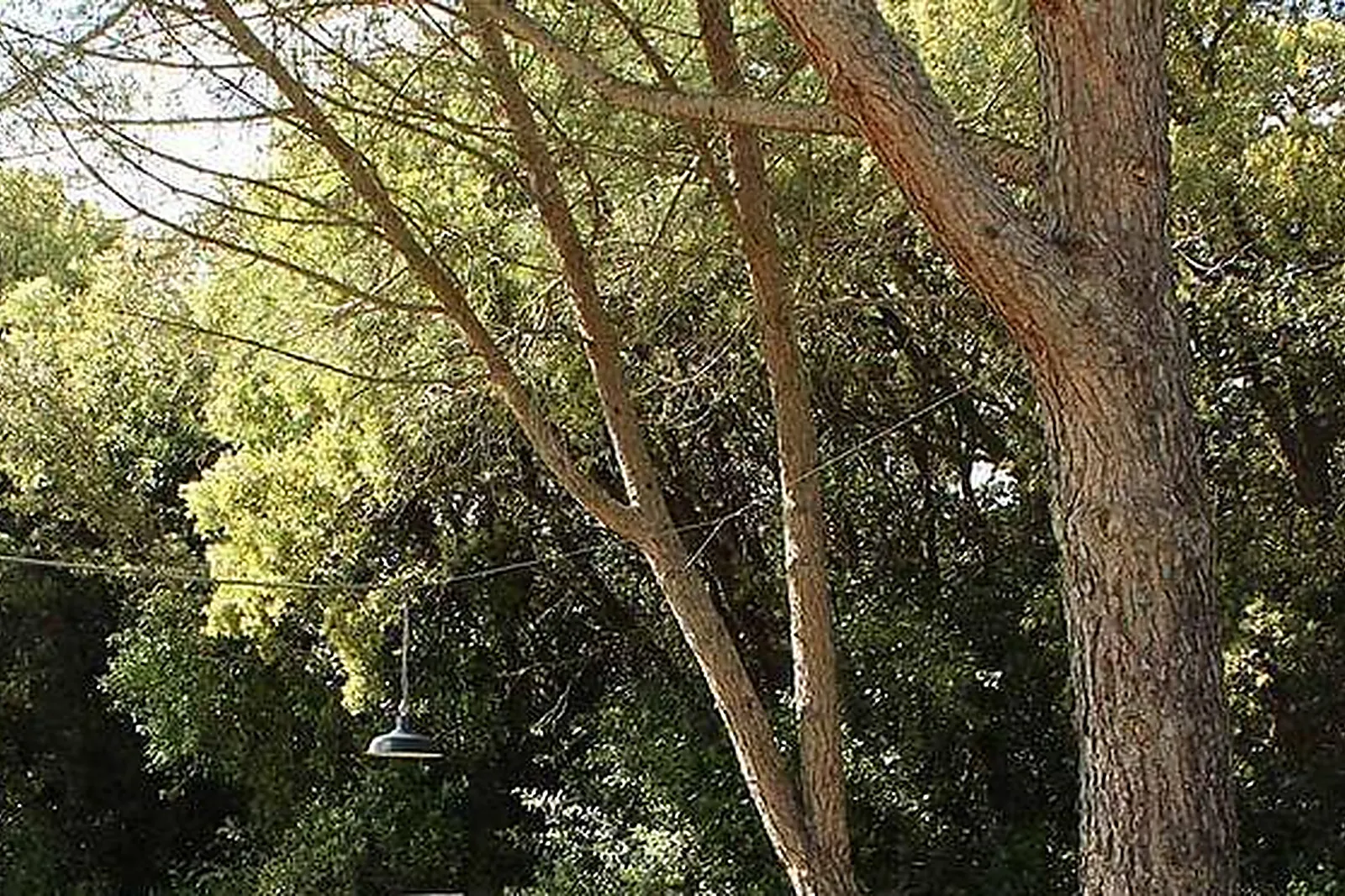 Lieux événementiels, MAS DE REY UZÈS