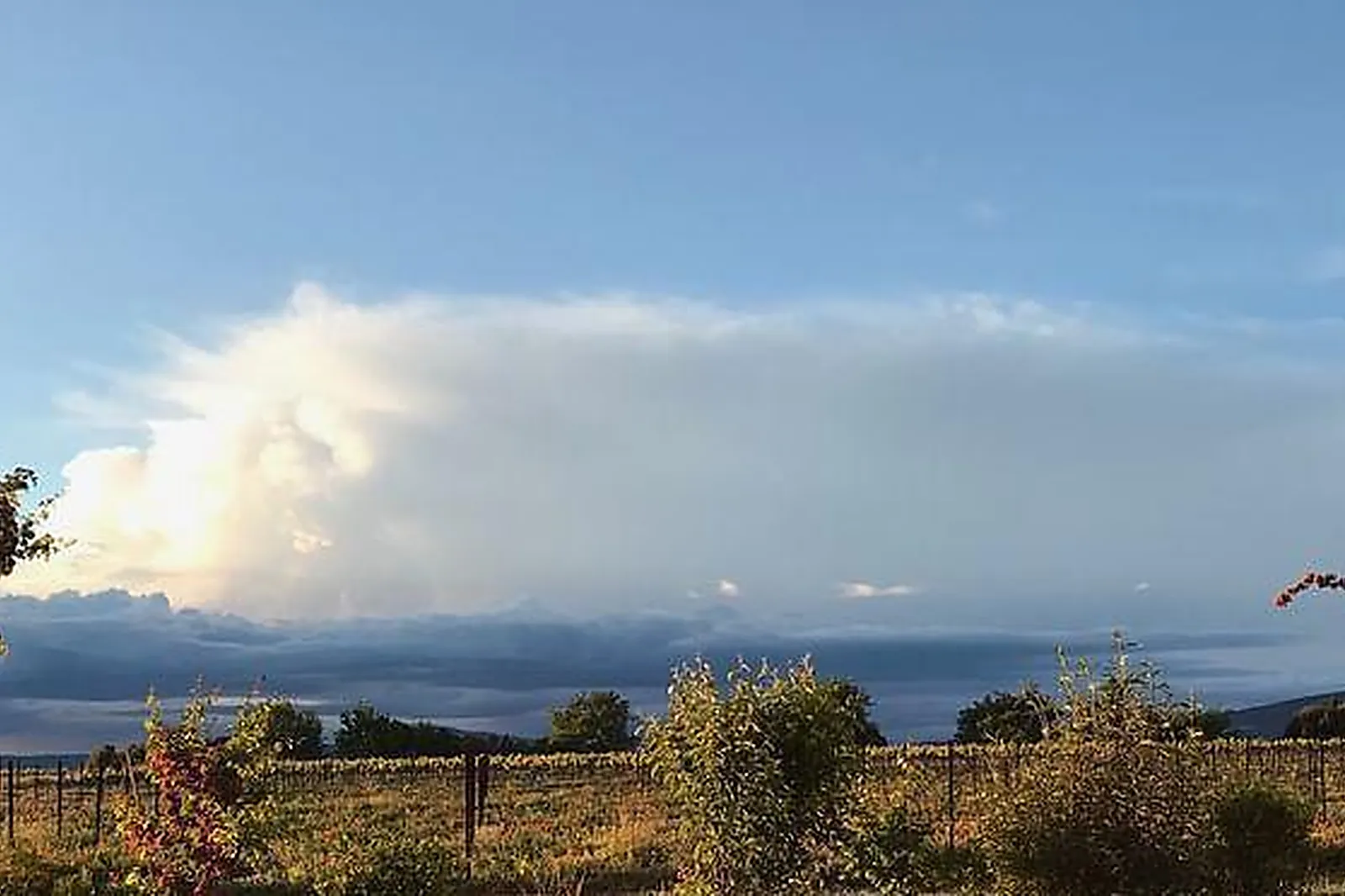 Lieux événementiels, MAS DE SAINT CHÉTIN