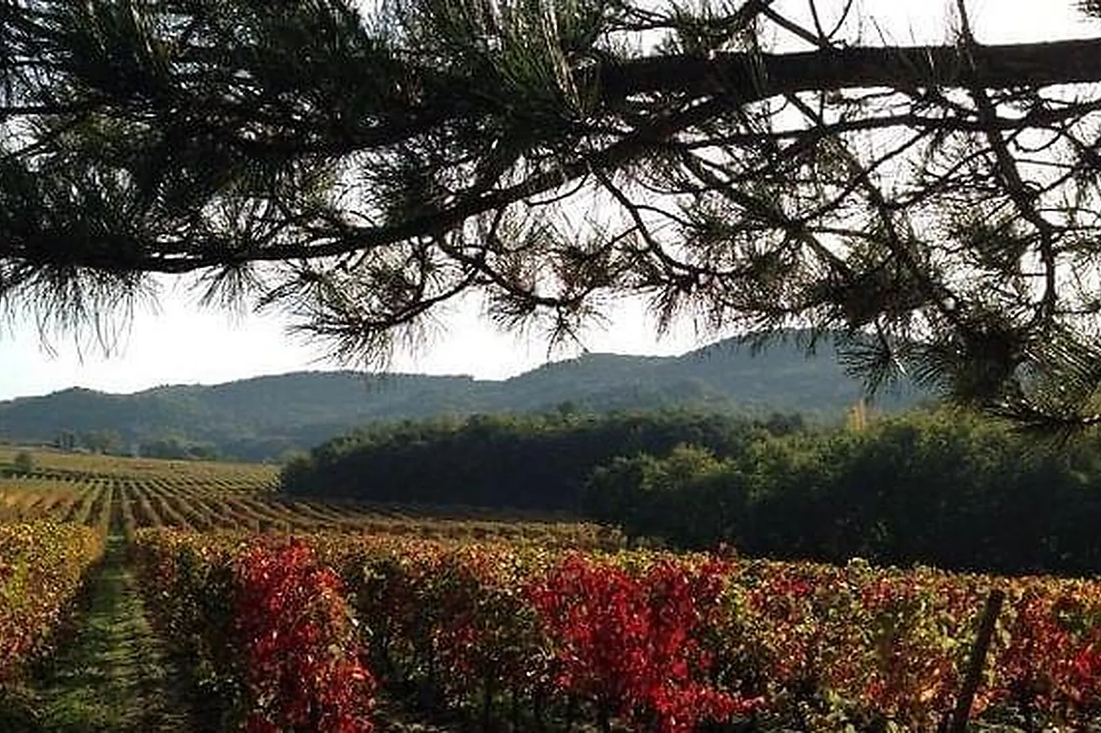 Lieux événementiels, MAS DE SAINT CHÉTIN