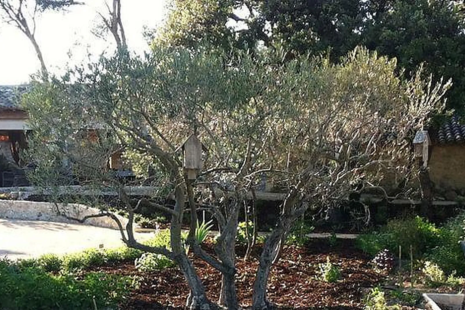 Lieux événementiels, MAS DE LA ROSE ***