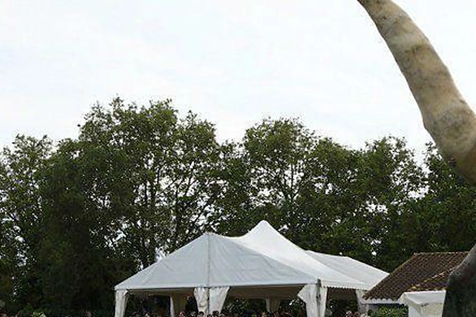 Lieux événementiels, MAS DU MÉNAGE EN CAMARGUE