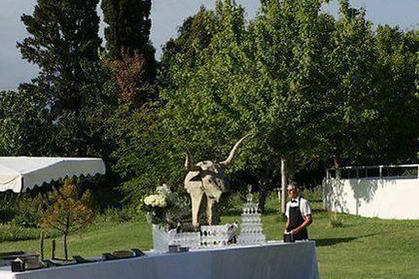 Lieux événementiels, MAS DU MÉNAGE EN CAMARGUE