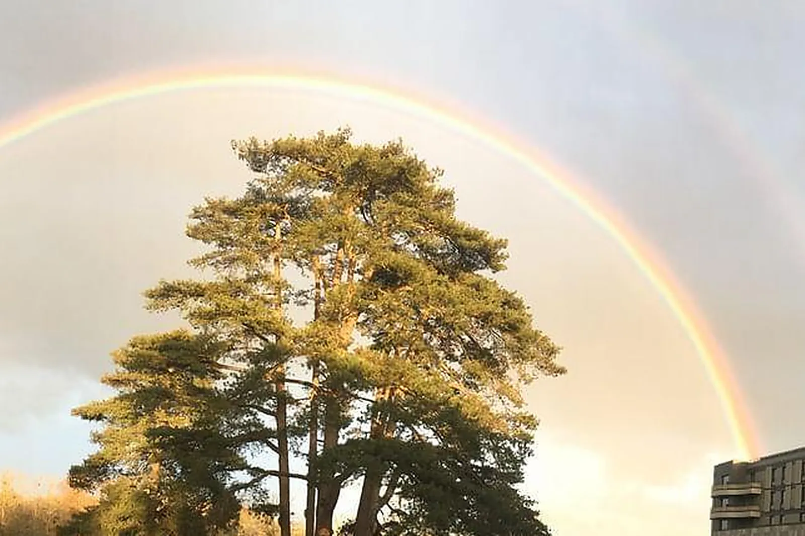 Lieux événementiels, WERIDE