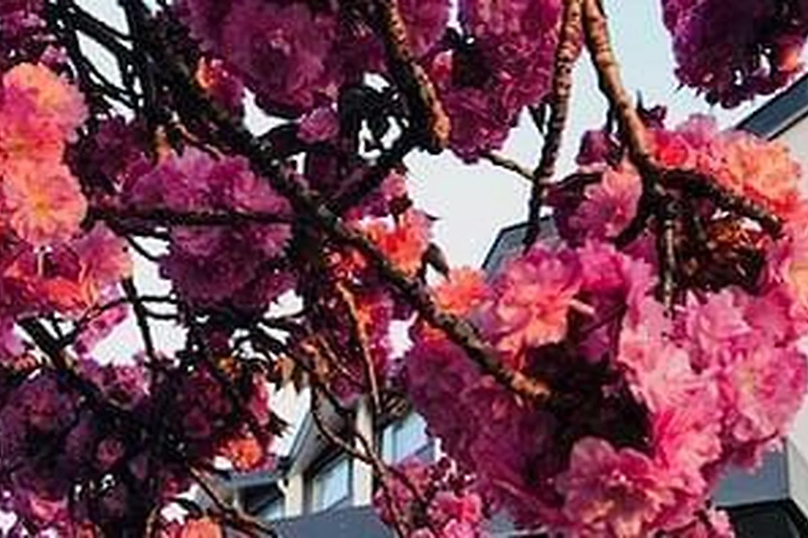 Lieux événementiels, ESPACE FAUBOURG