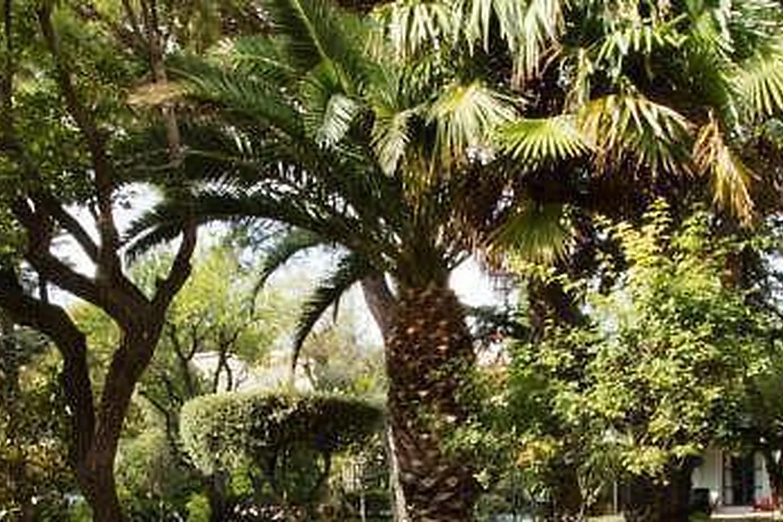 Lieux événementiels, MERCURE MARSEILLE BOMPARD