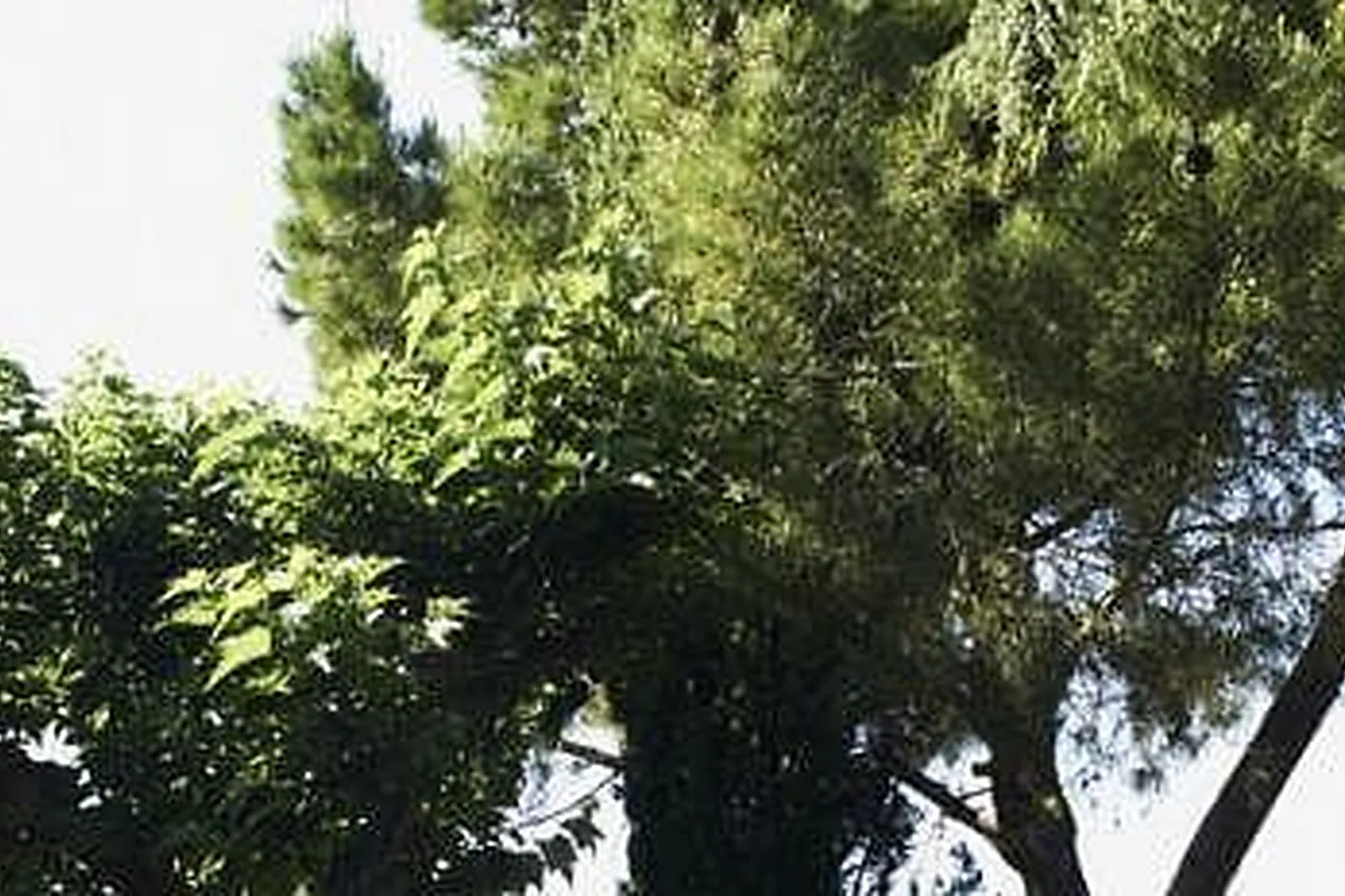 Lieux événementiels, MERCURE MARSEILLE BOMPARD