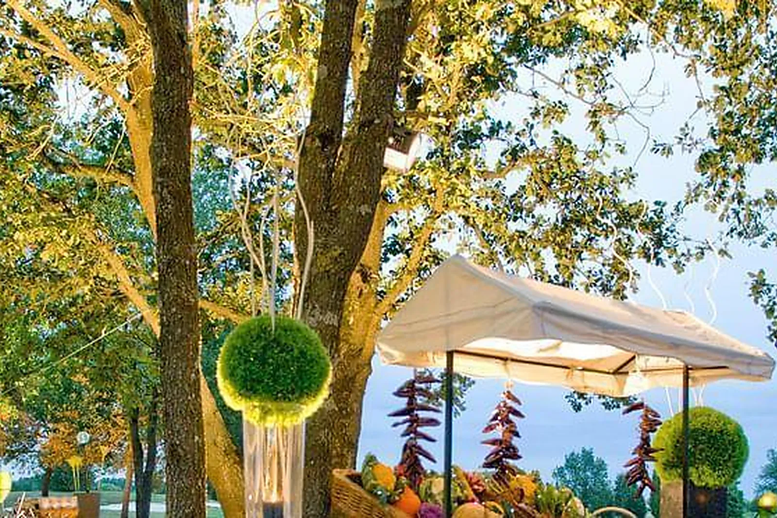 Lieux événementiels, MERCURE TOULOUSE AÉROPORT GOLF DE SEILH ****