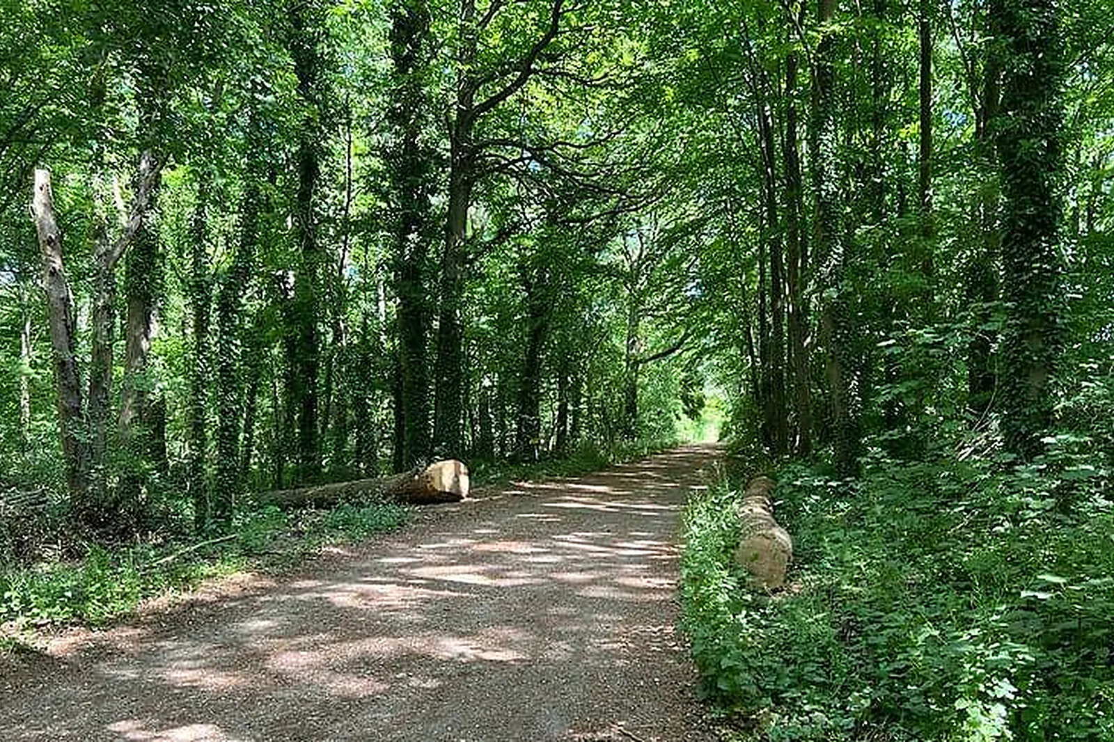Lieux événementiels, MEUDON-LA-FORET / VELIZY