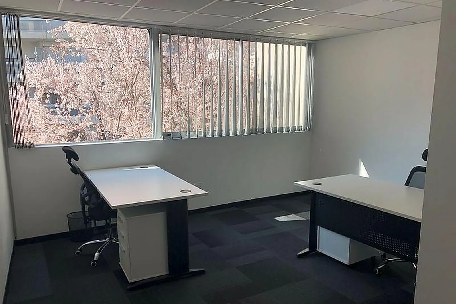 Lieux événementiels, MHM IMMOBILIER BUSINESS CENTER