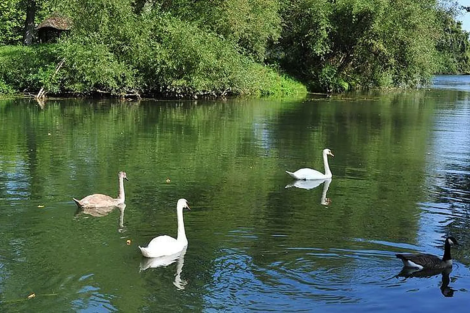 Lieux événementiels, MOULIN ANDÉ