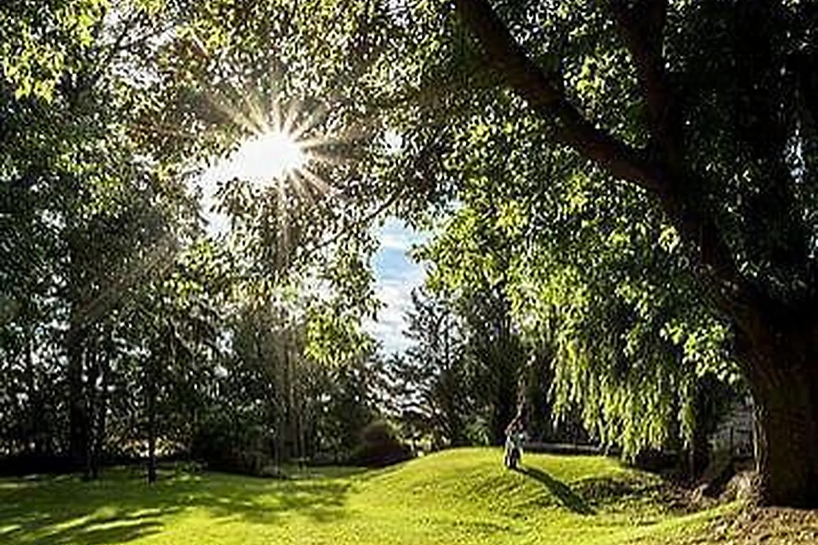 Lieux événementiels, MOULIN DE GAMBAIS
