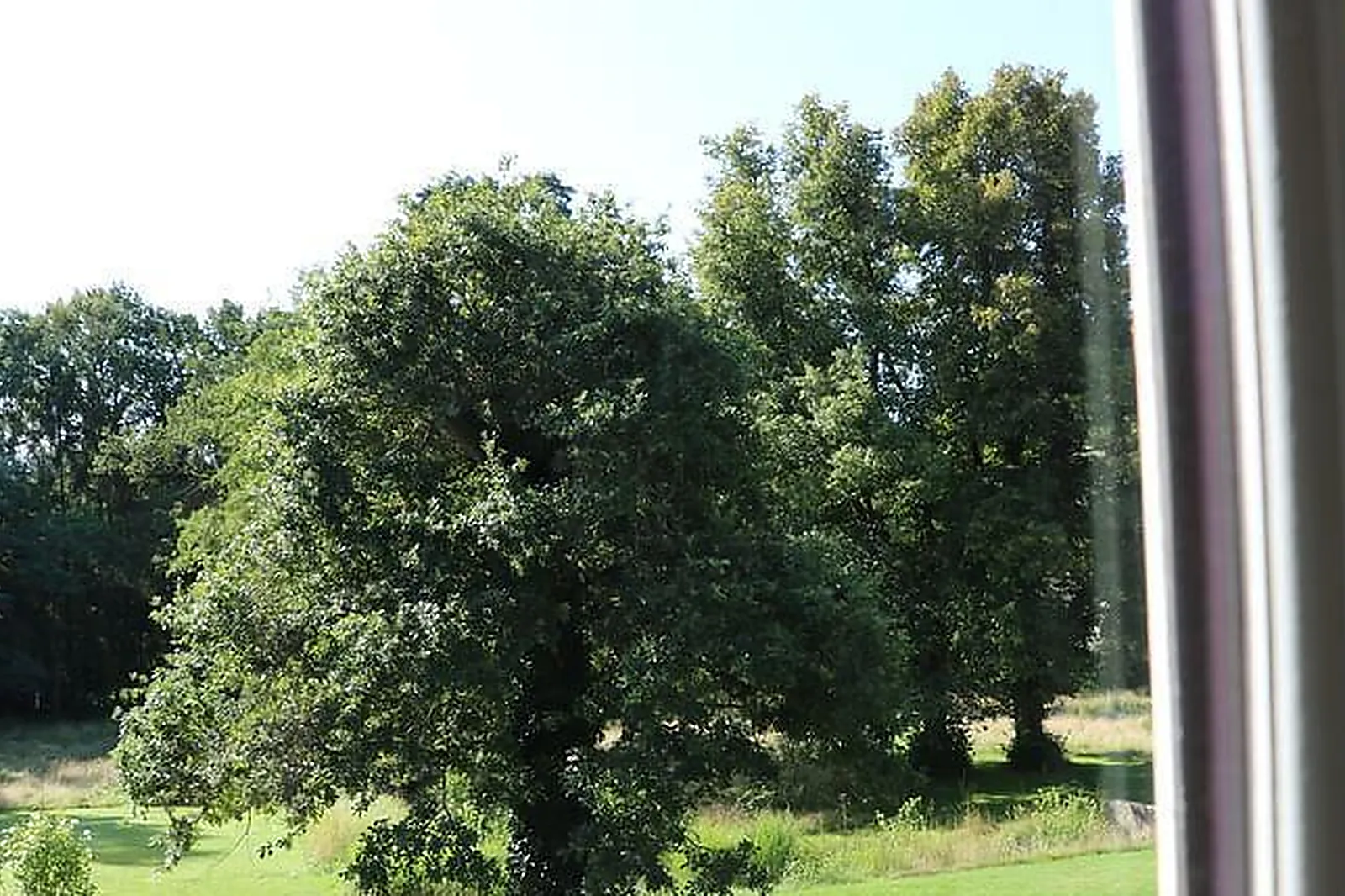 Lieux événementiels, LA SERRE NU-PARIS