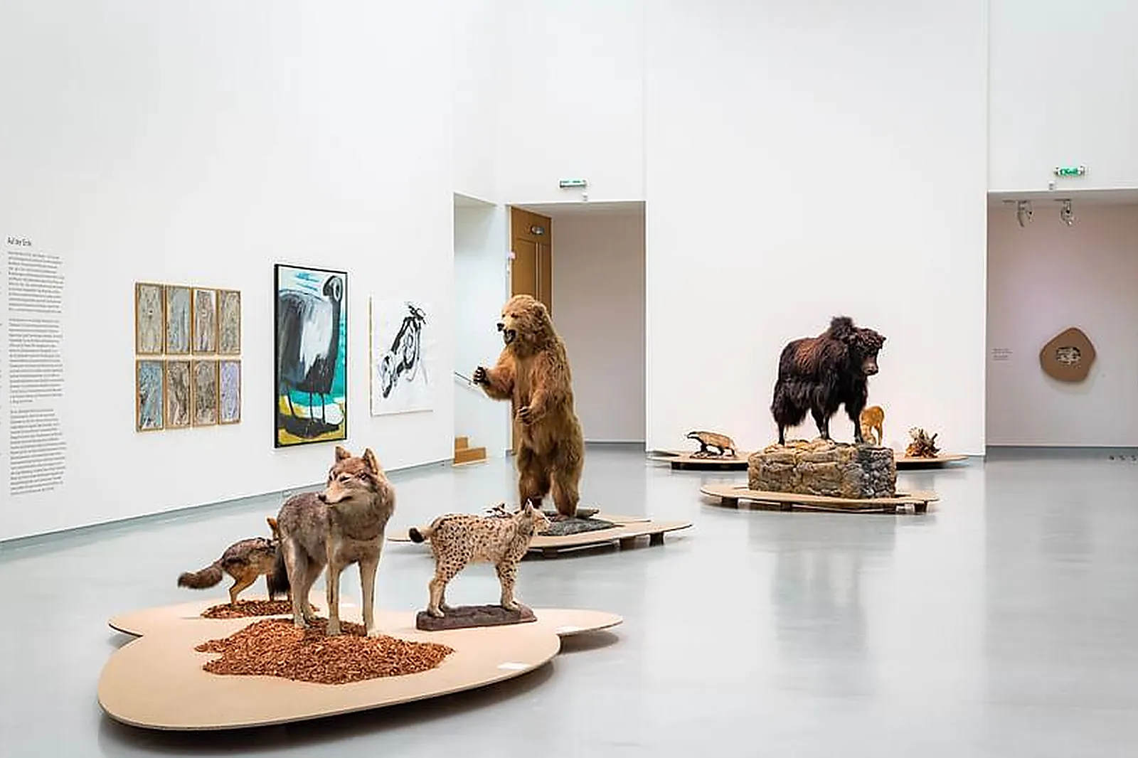 Lieux événementiels, MUSÉE WÜRTH FRANCE