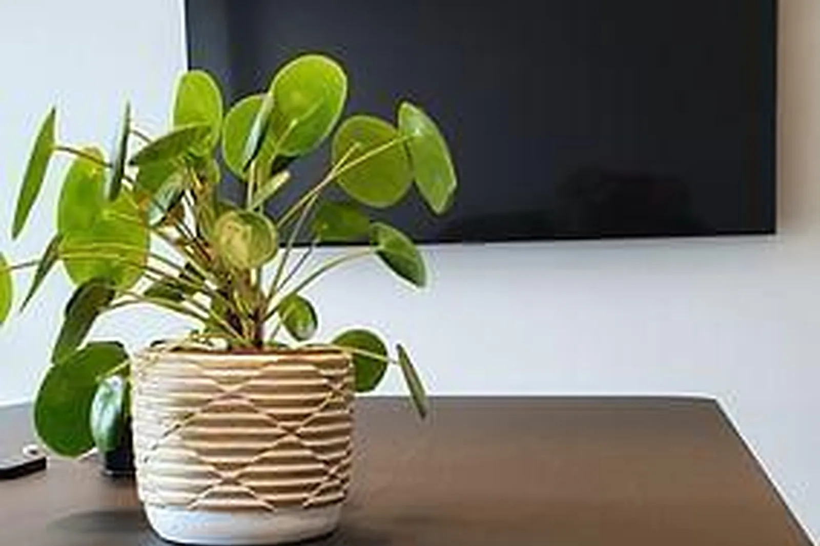 Lieux événementiels, SHAKE N SMASH