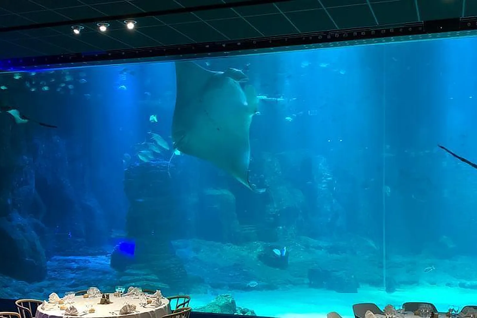 Lieux événementiels, NAUSICAA - CENTRE NATIONAL DE LA MER