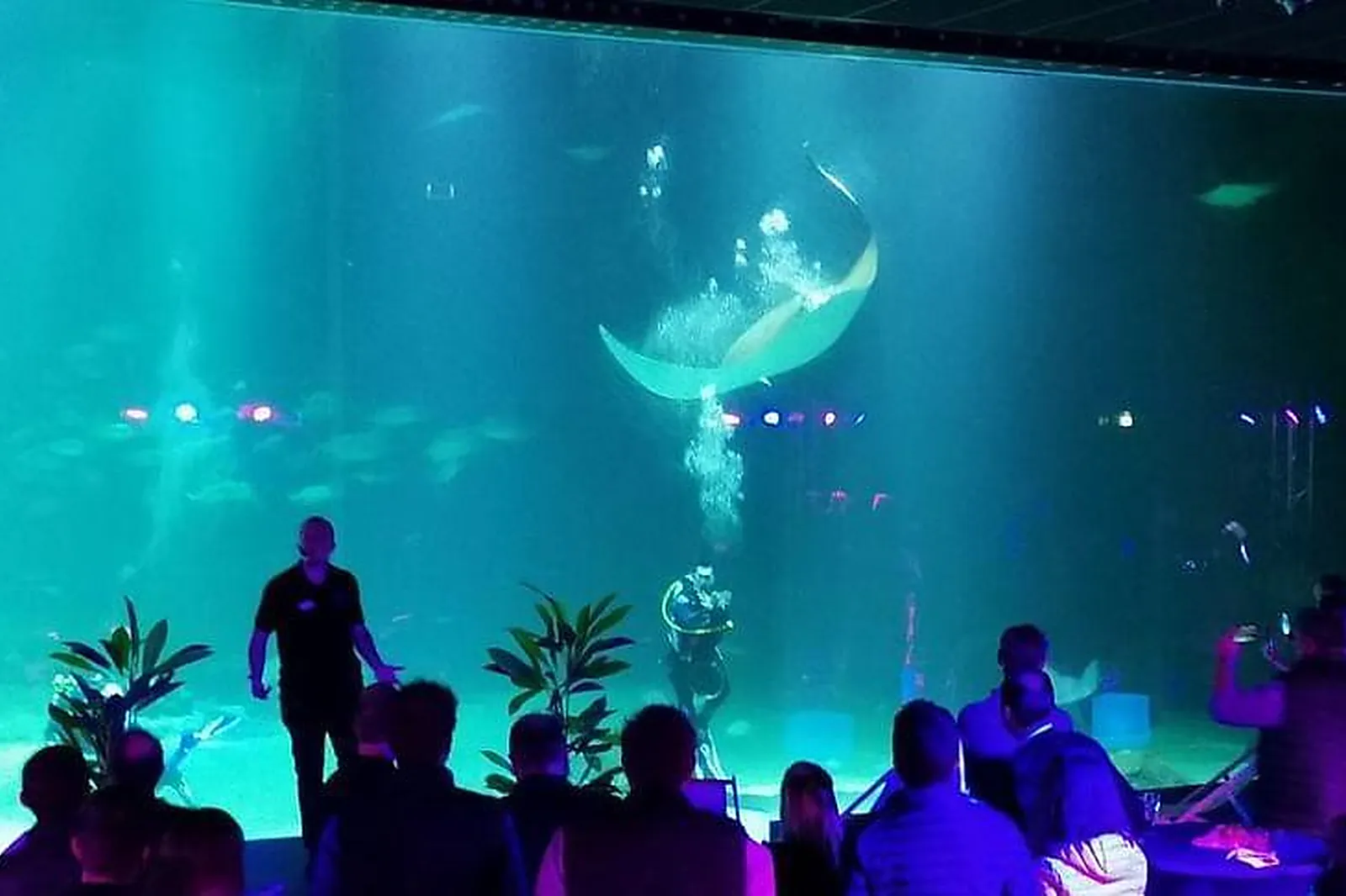 Lieux événementiels, NAUSICAA - CENTRE NATIONAL DE LA MER