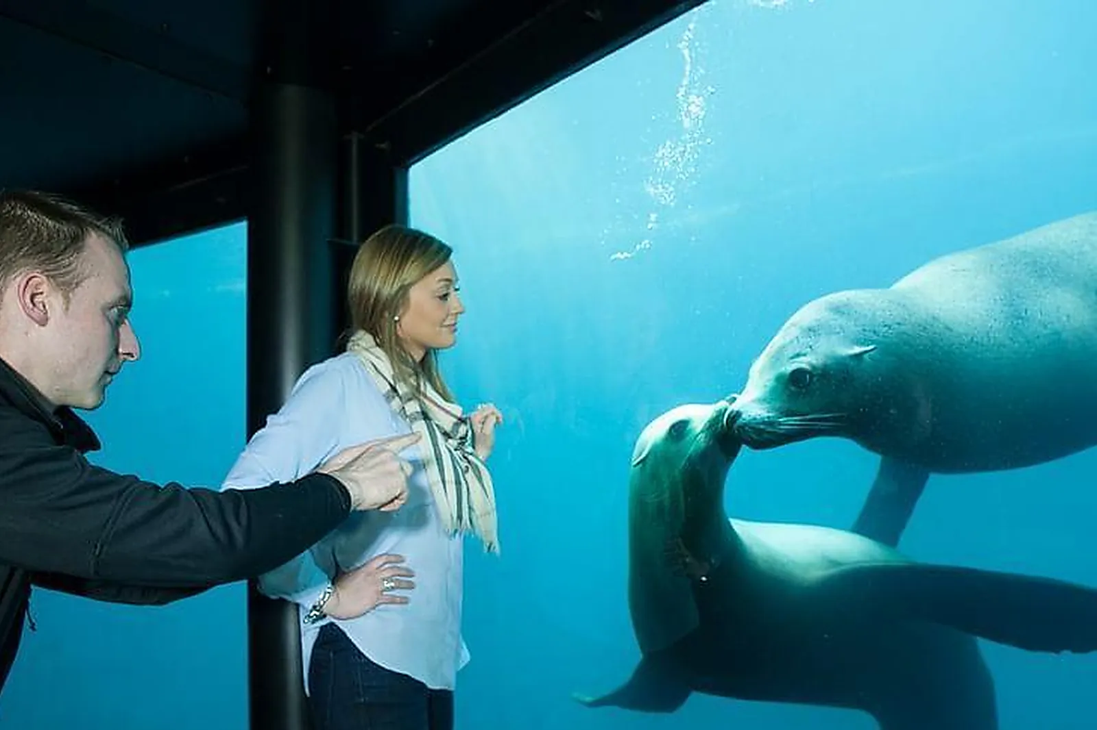 Lieux événementiels, NAUSICAA - CENTRE NATIONAL DE LA MER