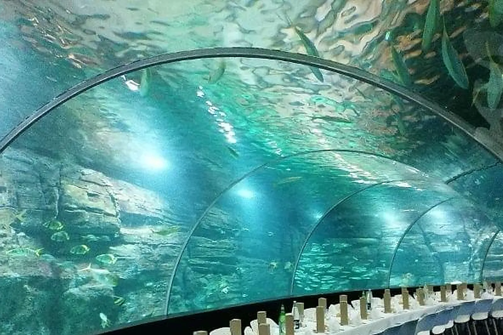 Lieux événementiels, NAUSICAA - CENTRE NATIONAL DE LA MER