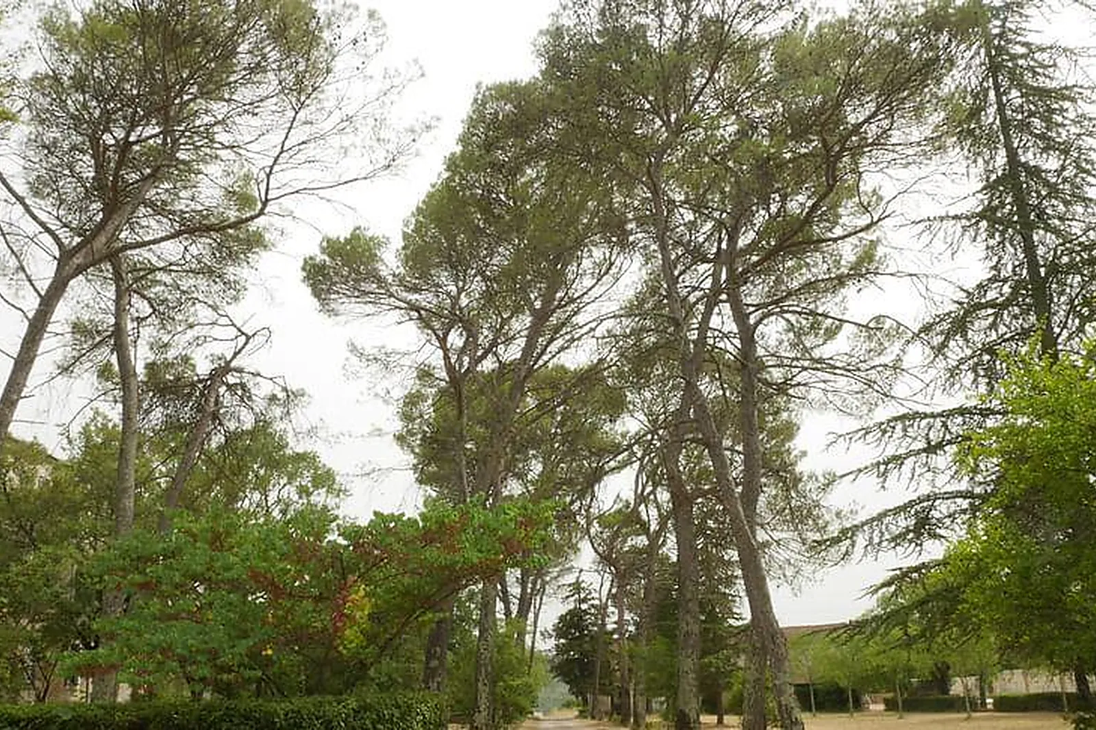 Lieux événementiels, NOTRE DAME DE LA GARDIOLLE