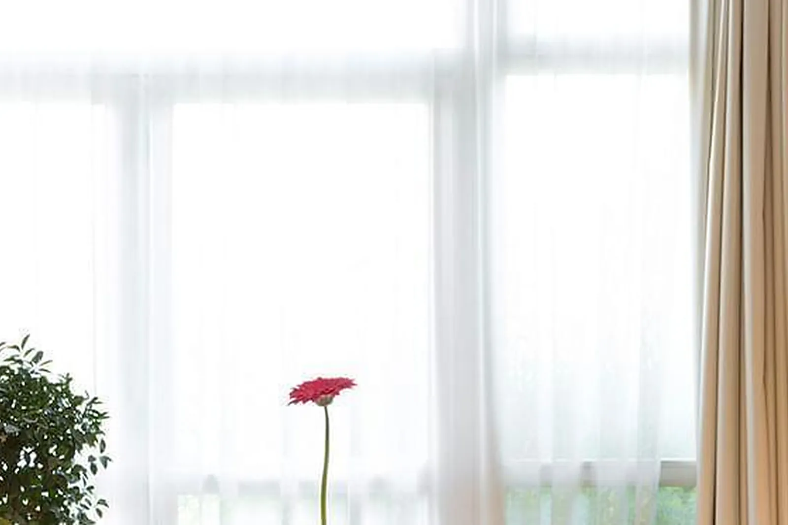 Lieux événementiels, DOMAINE DE L'AÉROPISTE