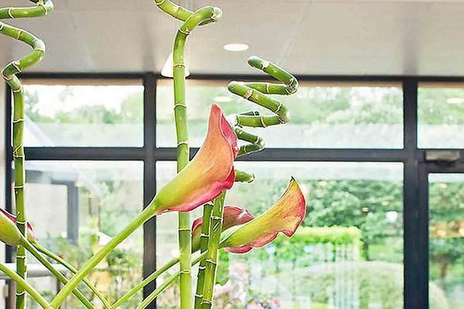 Lieux événementiels, NOVOTEL ORLÉANS CHARBONNIÈRE ****