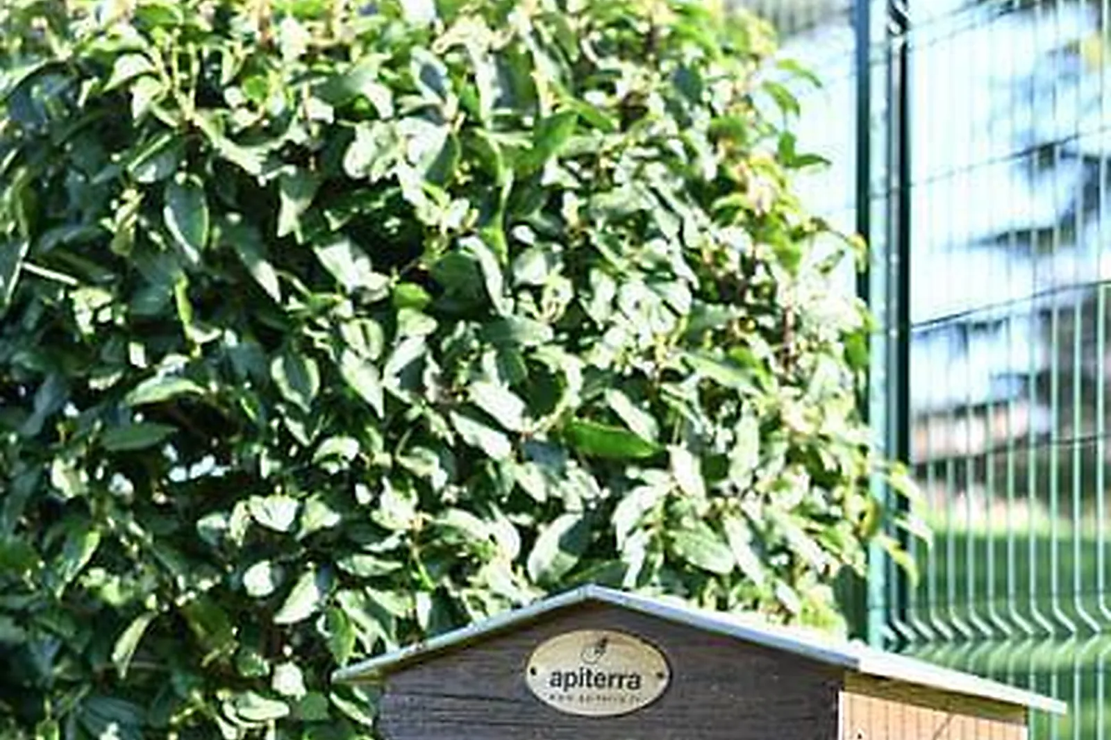 Lieux événementiels, SOFRADOM LOURMEL