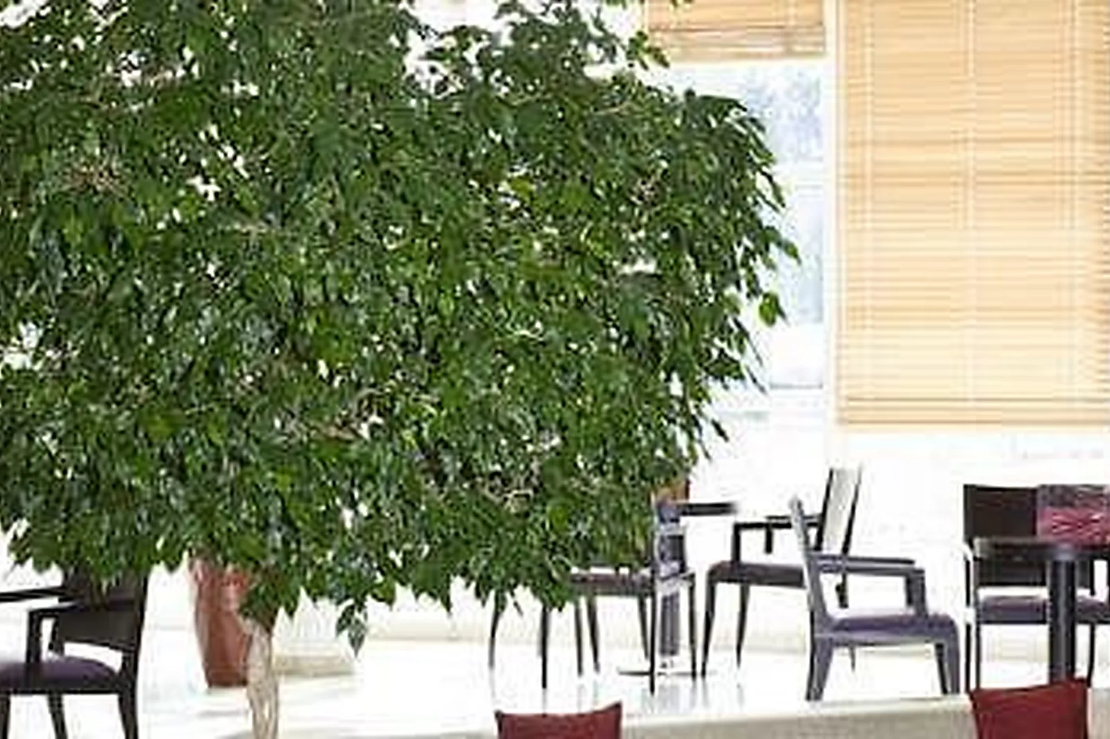 Lieux événementiels, JOUEURZ - ESCAPE GAME