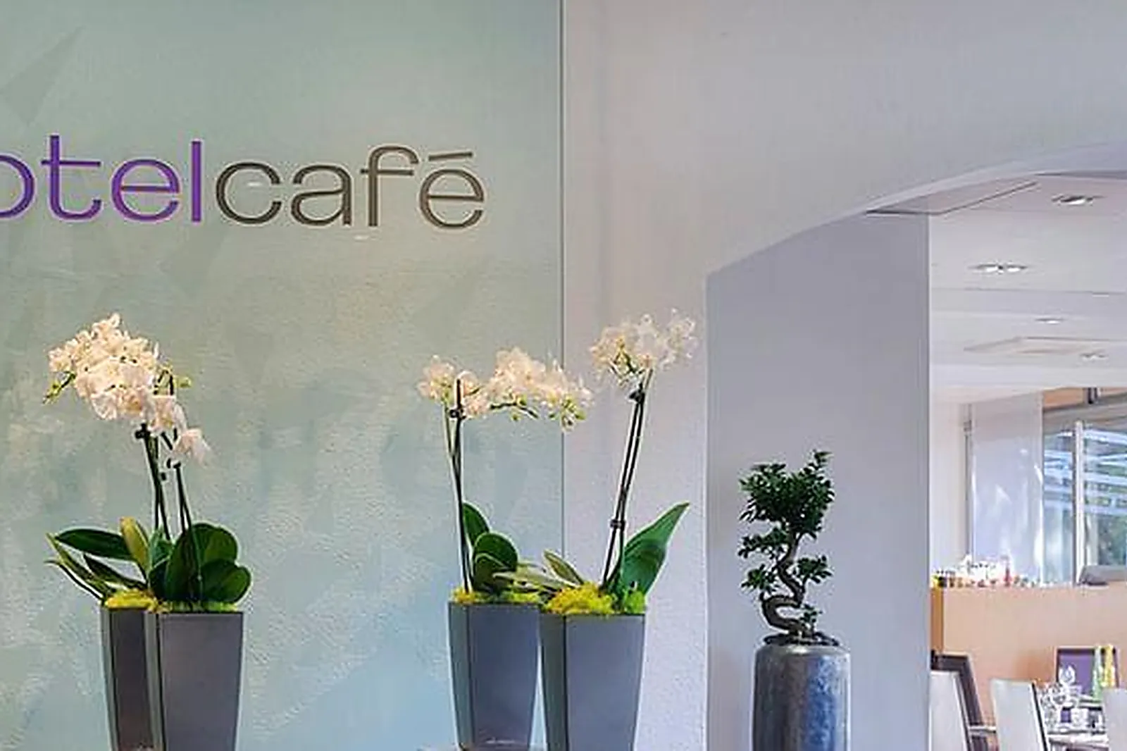 Lieux événementiels, NOVOTEL SOPHIA ANTIPOLIS ****