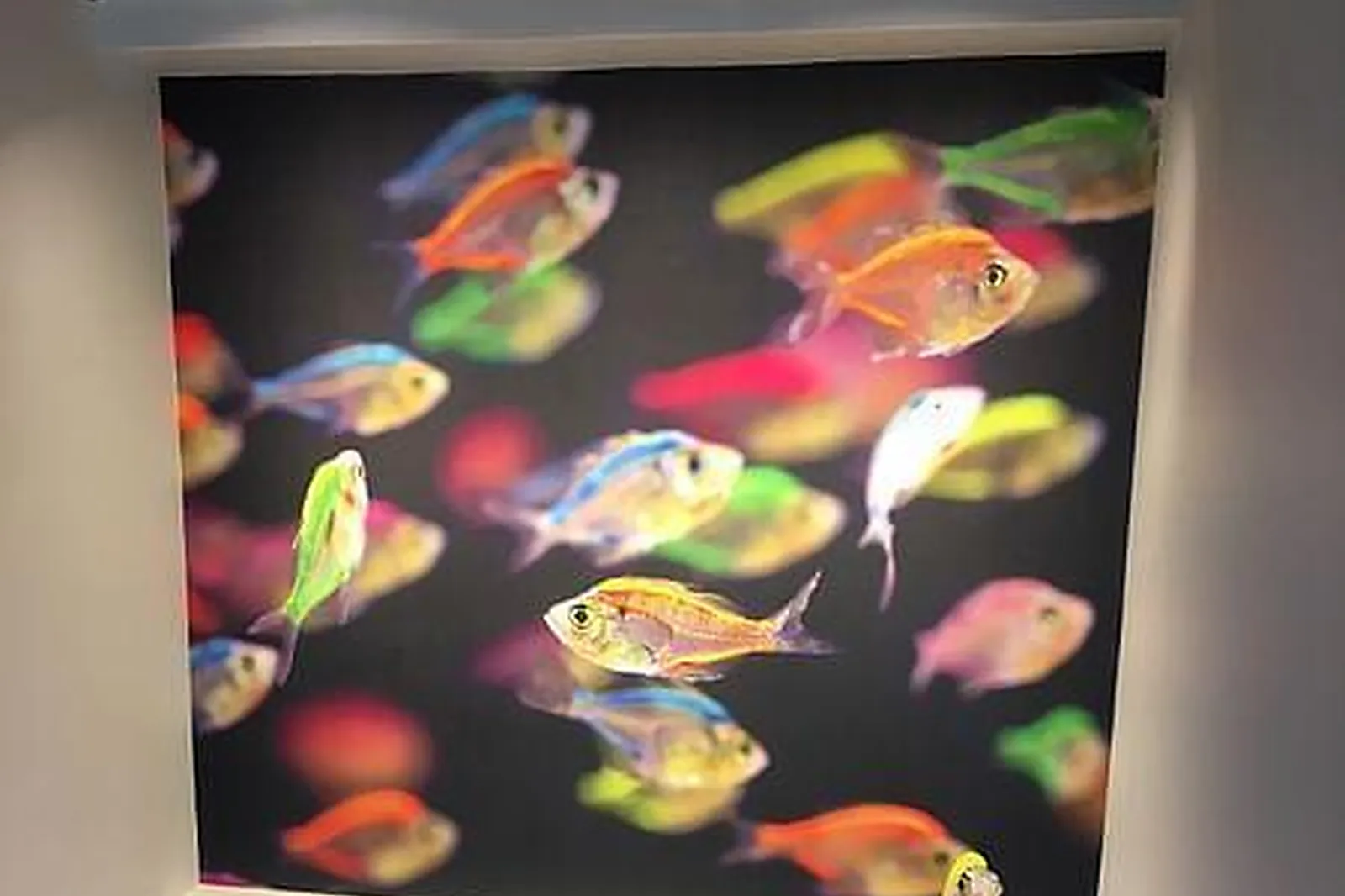 Lieux événementiels, LAST DOOR