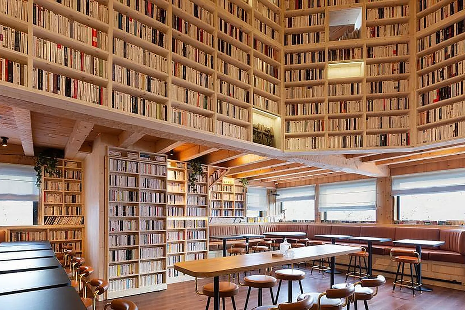 Lieux événementiels, OURS BLANC HOTEL & SPA