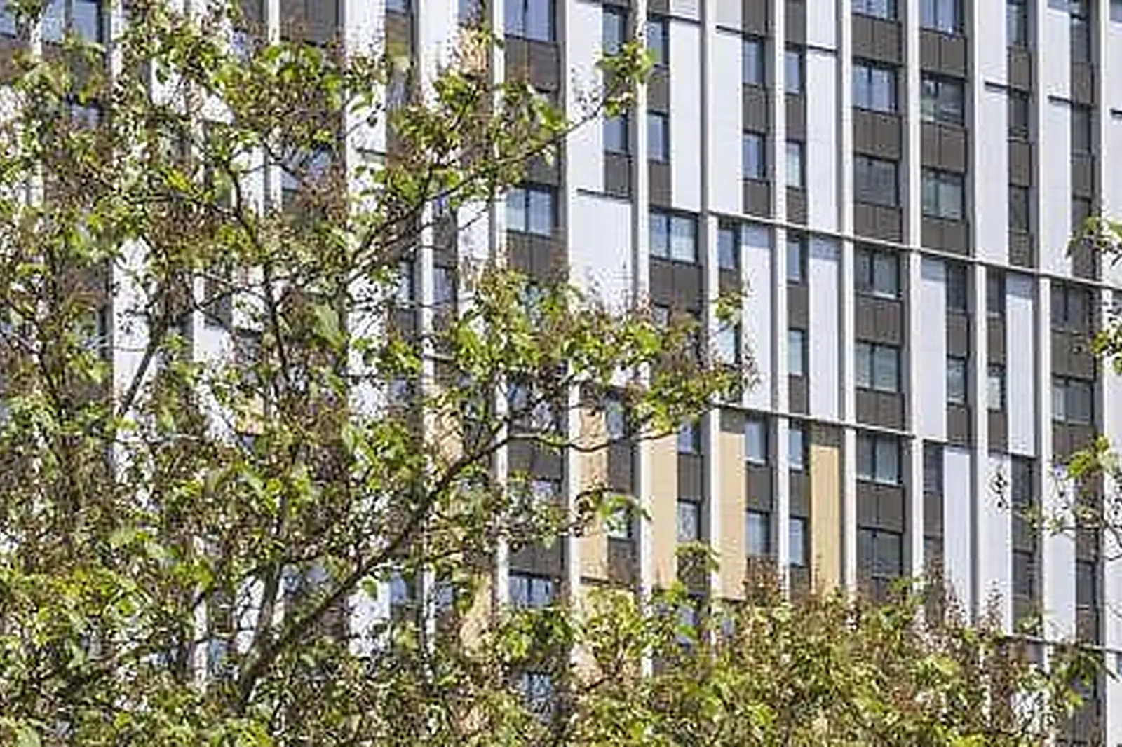 Lieux événementiels, PALATINO PARIS